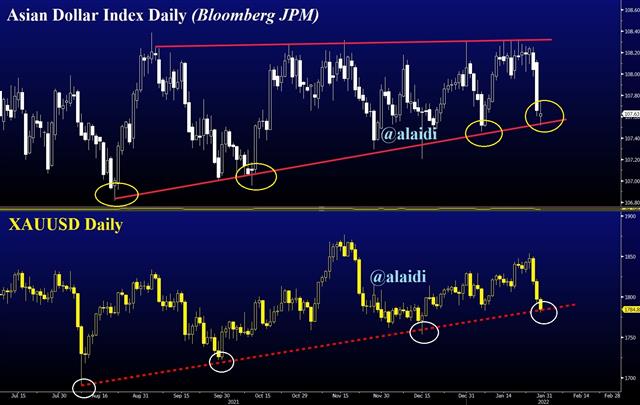 The Other Dollar Index - Adxy Dxy Jan 28 2022 (Chart 1)