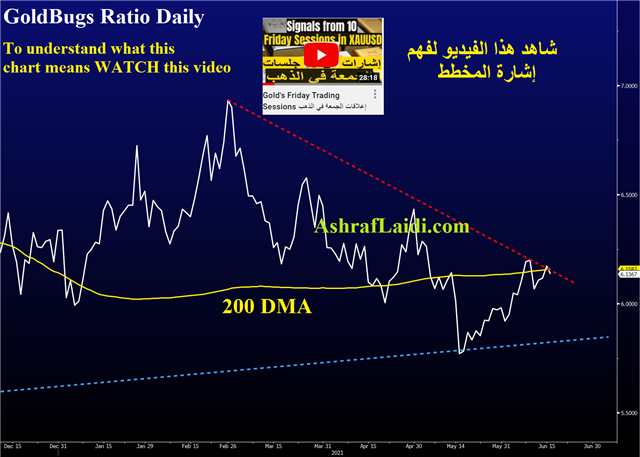 Watch the 2023 Dots - Gold Bugs June 16 2021 (Chart 1)