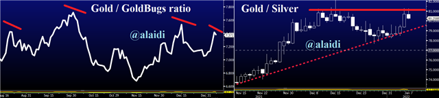 Gold Barely Passes so Far - Gold Silver Bugs Jan 7 2022 (Chart 1)