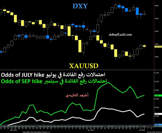 Gold & Rate Hike Update - Wirp Rate Hike Jul (Chart 1)