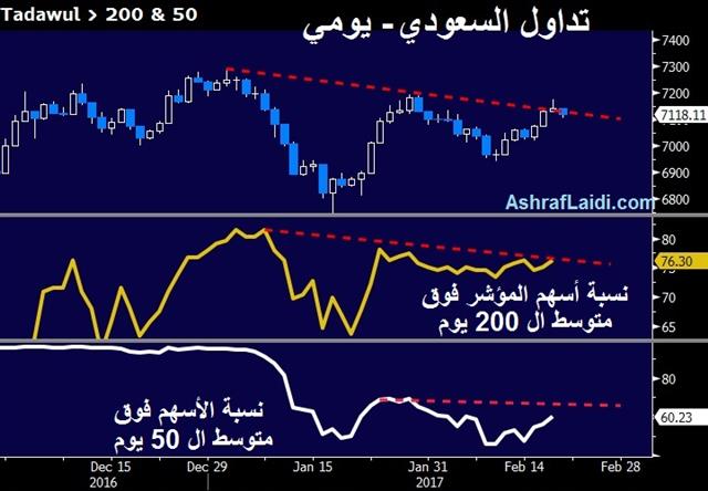 Saudi Tadawul Participation - Tadawul Feb 19 2017 (Chart 1)